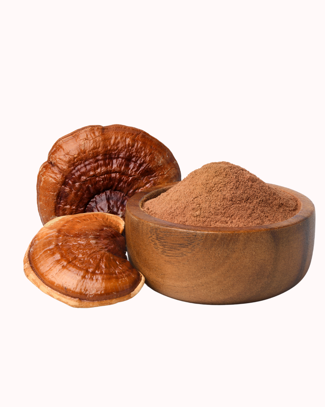 Reishi Mushroom Skincare Benefits: A Game Changer for Your Skin—Sensitive Skin Included