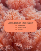 Close-up of vibrant red algae (Carrageenan) with overlaid skincare benefits: antibacterial, refined texture, and reviving. Highlights its role in Covenance Beauty’s Brighter Complexion Exfoliating Gel Cleanser for purifying skin, supporting renewal, and enhancing smoothness.
